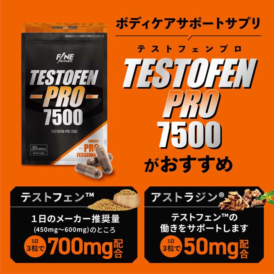 SALE 10%OFF 送料無料 ◇ FINE SPORTS 国産 ボディメイク系サプリ