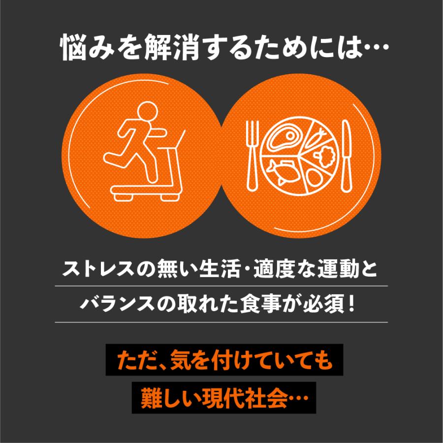 FINESPORTS テストステロン サプリ テストフェン18000 3個セット 送料
