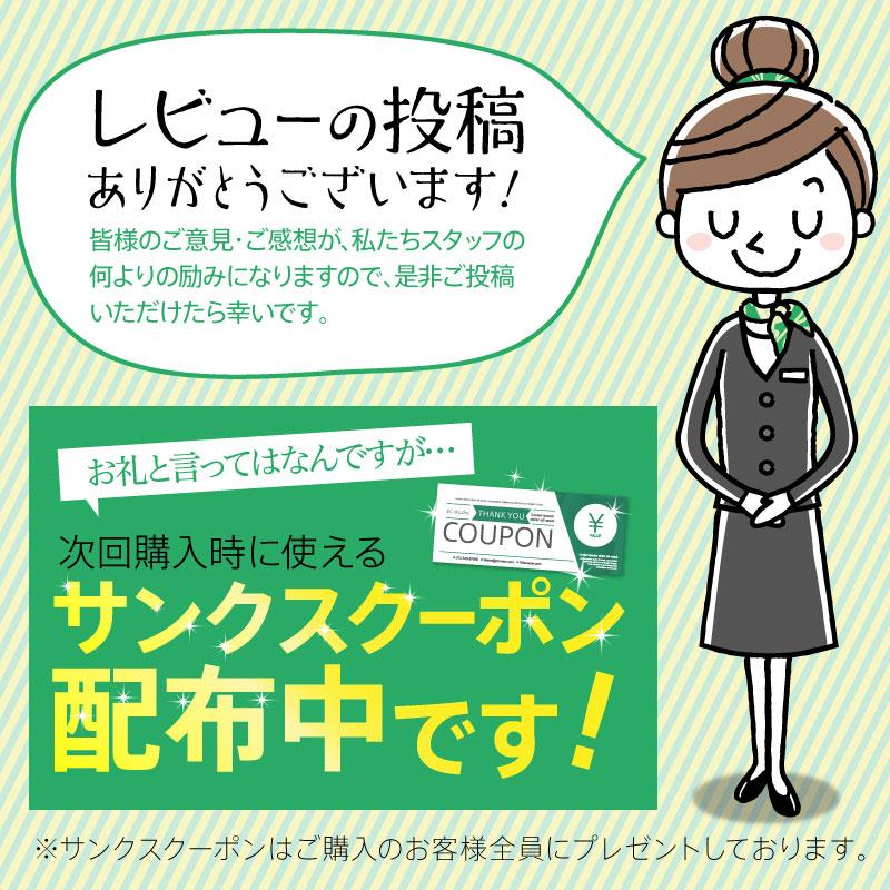 SALE 10%OFF 送料無料 ◇ FINE SPORTS テストフェン18000 90粒30日分