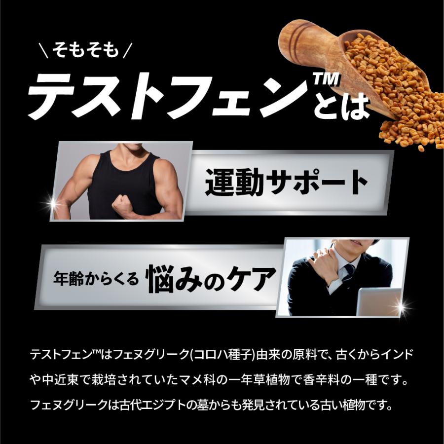 SALE 10%OFF 送料無料 ◇ FINE SPORTS テストフェン18000 90粒30日分