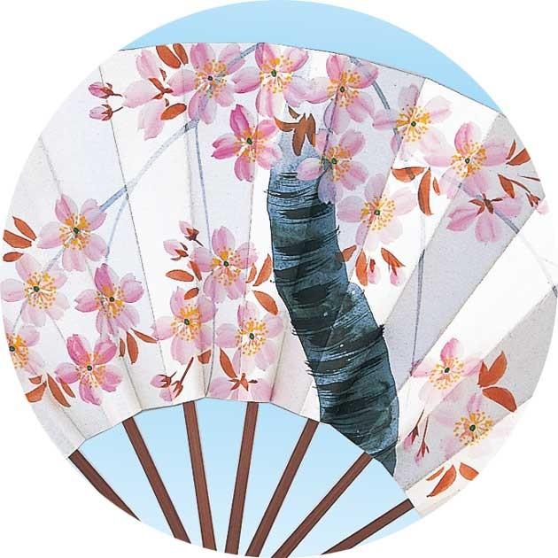 桜と鳥の手描き舞扇子 大きめ 舞扇子 扇子 踊り用 パール地 桜 手描き 9寸5分 スス竹 扇子箱入 飾り