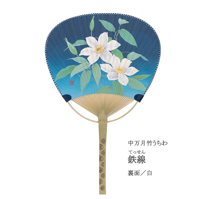 うちわ 竹 和 団扇 和柄 夏 花 あじさい ひまわり 鉄線 鮎 風鈴 提灯