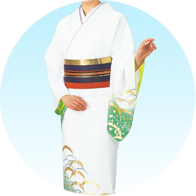 踊り 着物 きもの レディース 女物 胴抜き 仕立上がり 附下訪問着