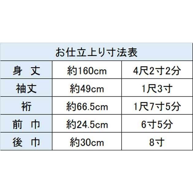 着物 きもの 訪問着 レディース 仕立上がり 絵羽 柄ものの画像