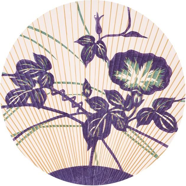 うちわ 京うちわ 紙ケース付き 高級 おしゃれ 両面透かし 朝涼 飾り 杉