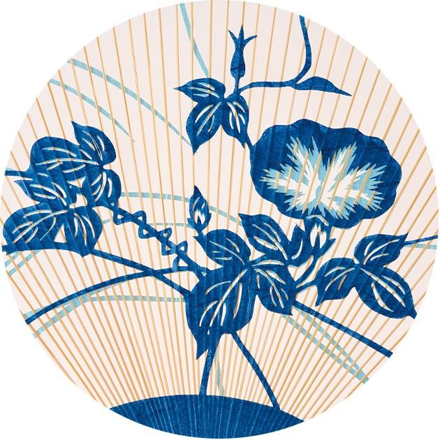 うちわ 京うちわ 紙ケース付き 高級 おしゃれ 両面透かし 朝涼 飾り 杉