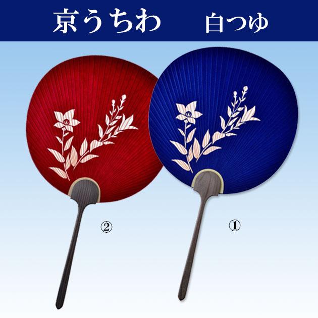 うちわ 京うちわ 白つゆ 高級 おしゃれ 柄 桔梗 青 赤 並型透かし