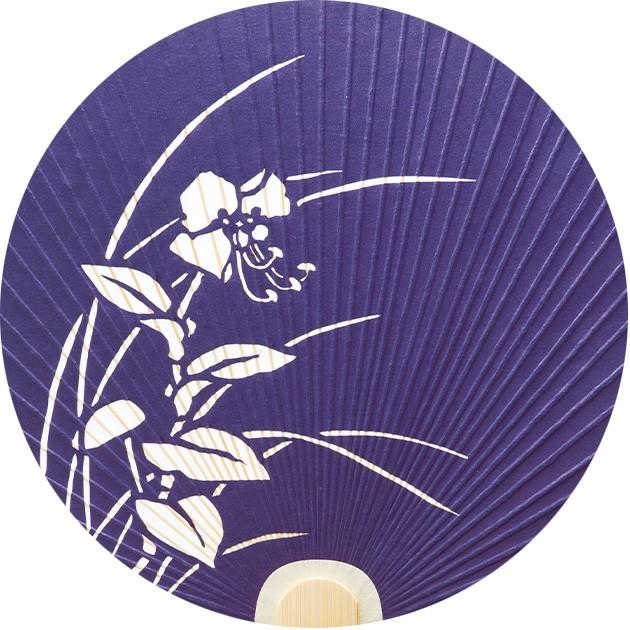 うちわ 蛍草 片面透かし 踊り団扇 都うちわ 京うちわ 裏面白和紙
