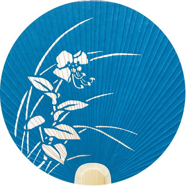 うちわ 蛍草 片面透かし 踊り団扇 都うちわ 京うちわ 裏面白和紙