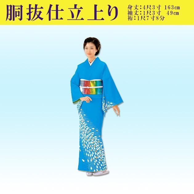 踊り 着物 きもの 優美胴抜き仕立上り洗える着物 訪問着 衣装 水色