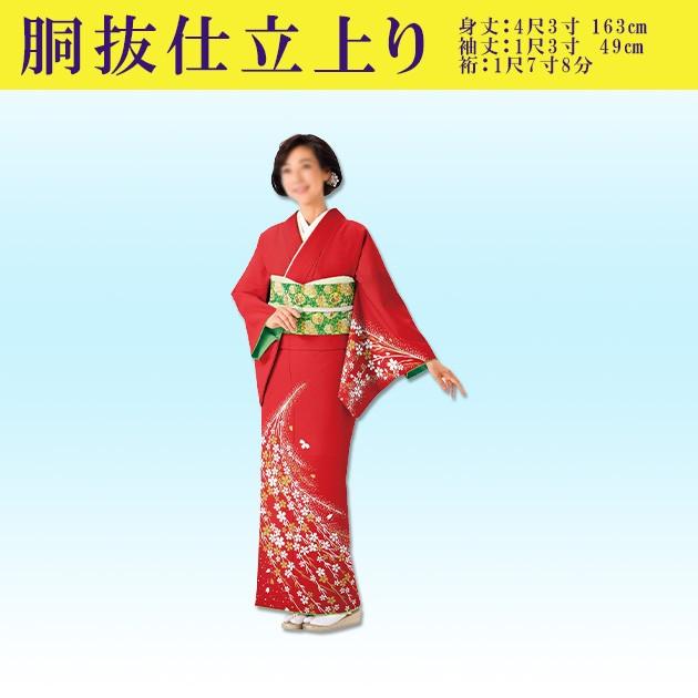★専用★美品 訪問着 単衣 胴抜き仕立て 朱赤 友禅 松 椿 菊 身丈166cm 踊り 着物 きもの 優美胴抜き仕立上り洗える着物 訪問着 衣装 赤