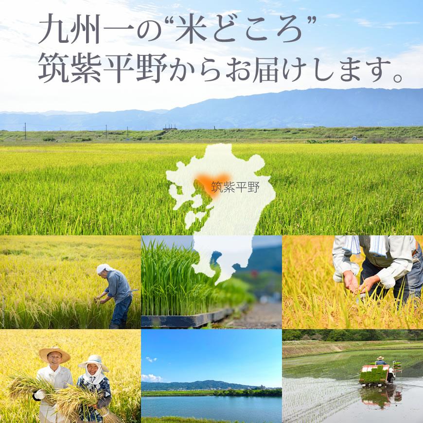 ヒノヒカリ 米 5kg 送料無料 ひのひかり 令和7年産 福岡県産 5kg×1袋
