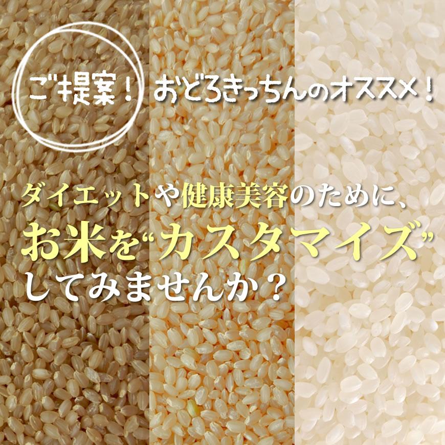 お米 10kg ヒノヒカリ 5kg×2袋 令和5年産 残留農薬不検出 / 母の日 プレゼント ギフト お取り寄せグルメ  特A 福岡県｜odorokitchen｜12