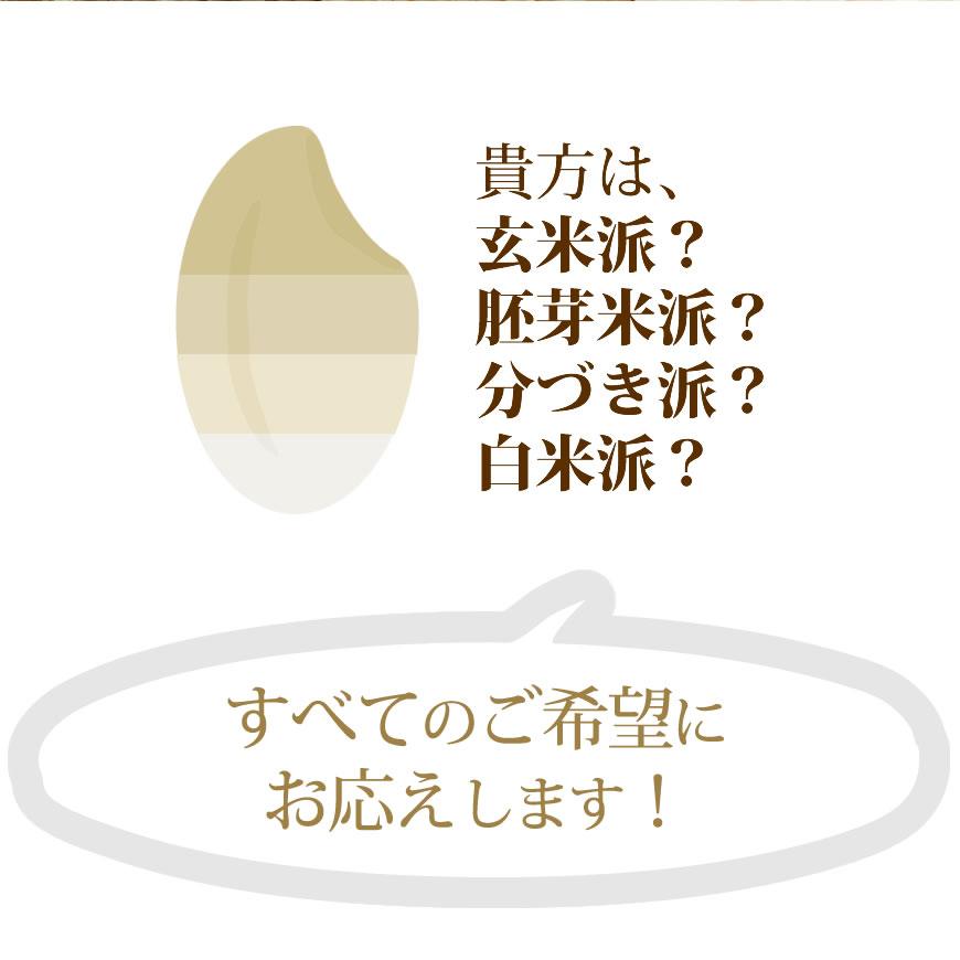 お米 10kg ヒノヒカリ 5kg×2袋 令和5年産 残留農薬不検出 / 母の日 プレゼント ギフト お取り寄せグルメ  特A 福岡県｜odorokitchen｜13