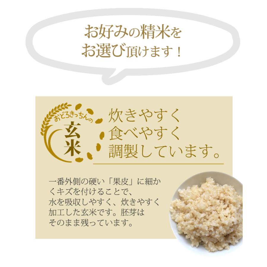 お米 10kg ヒノヒカリ 5kg×2袋 令和5年産 残留農薬不検出 / 父の日 プレゼント ギフト お取り寄せグルメ  特A 福岡県｜odorokitchen｜16