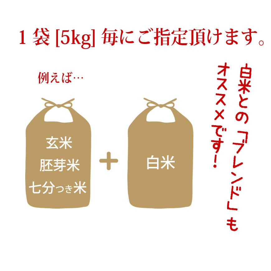 お米 10kg ヒノヒカリ 5kg×2袋 令和5年産 残留農薬不検出 / 母の日 プレゼント ギフト お取り寄せグルメ  特A 福岡県｜odorokitchen｜21