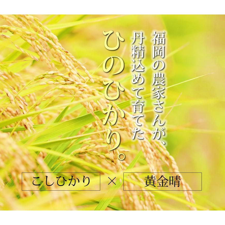 お米 10kg ヒノヒカリ 5kg×2袋 令和5年産 残留農薬不検出 / 母の日 プレゼント ギフト お取り寄せグルメ  特A 福岡県｜odorokitchen｜04