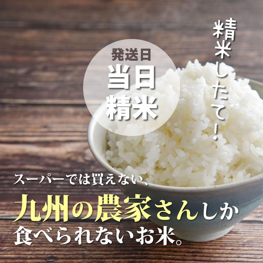 お米 10kg ヒノヒカリ 5kg×2袋 令和5年産 残留農薬不検出 / 母の日 プレゼント ギフト お取り寄せグルメ  特A 福岡県｜odorokitchen｜09