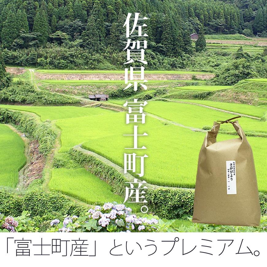 さがびより 米 5kg 特A 棚田米 5kg×1袋 令和7年産 / お取り寄せグルメ