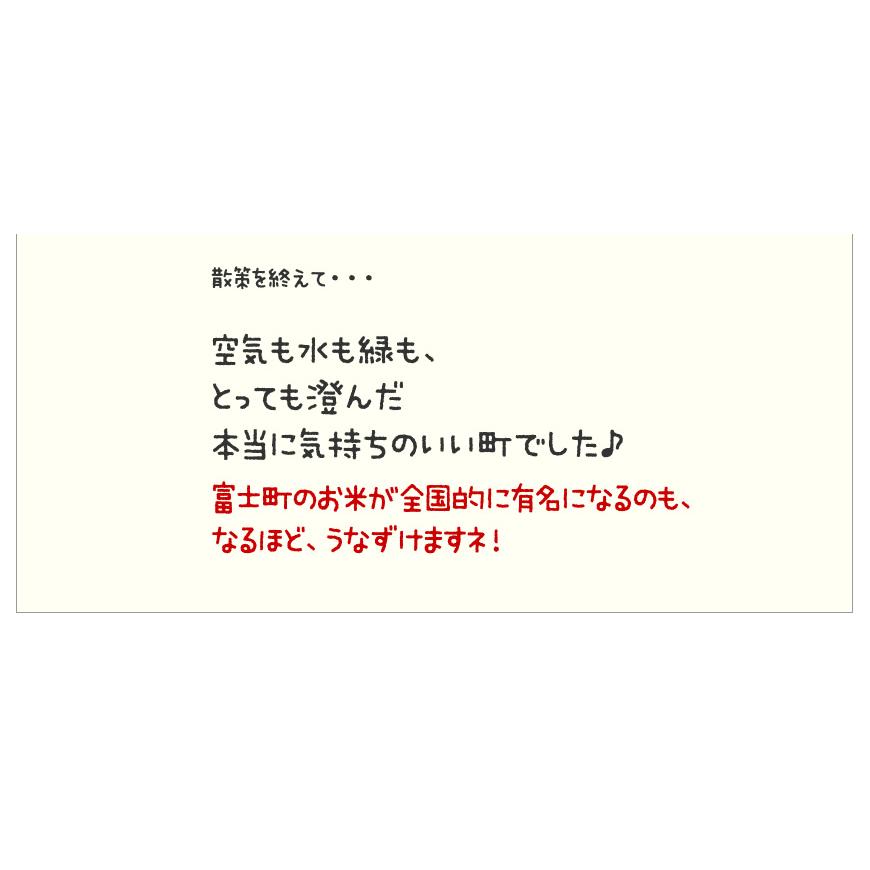 お米 5kg 特Ａ 棚田米 さがびより 5kg×1袋 令和5年産 / お祝い 母の日 プレゼント ギフト お取り寄せグルメ 佐賀県｜odorokitchen｜06