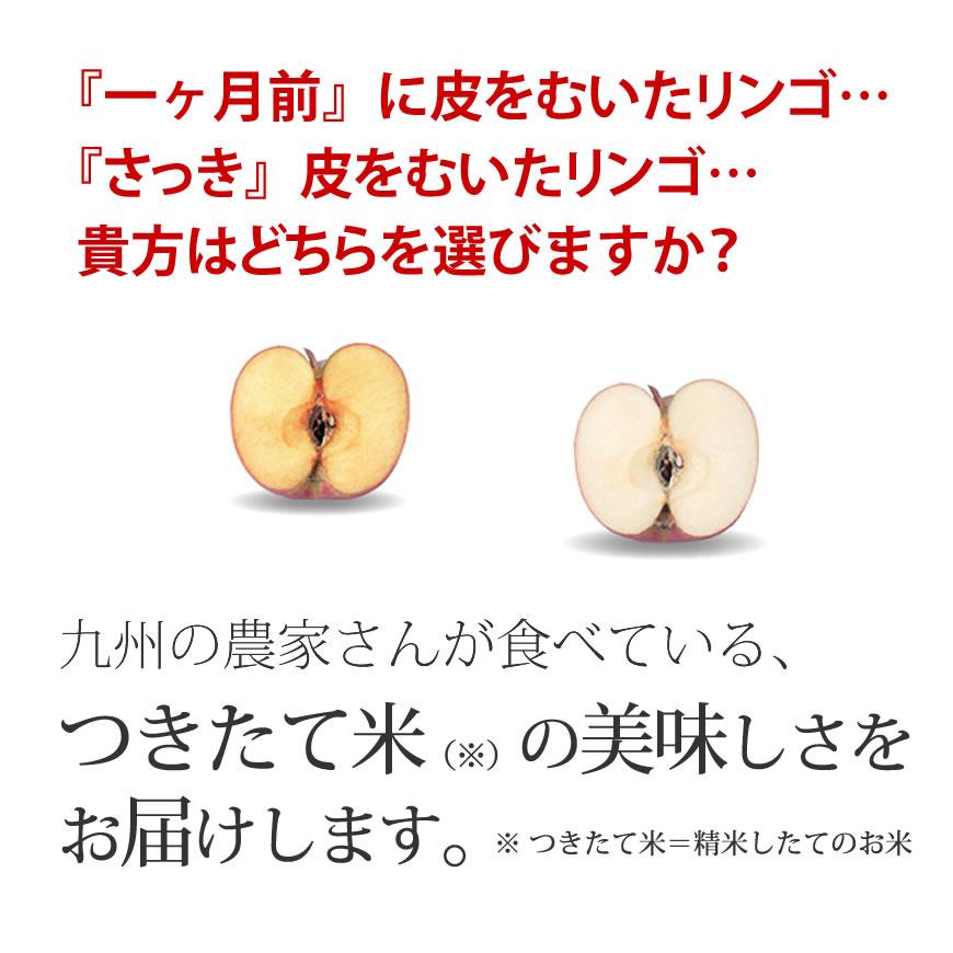 お米 10kg 特Ａ 棚田米 さがびより 10kg 5kg×2袋 令和5年産 / お祝い 母の日 プレゼント ギフト お取り寄せグルメ　 佐賀県｜odorokitchen｜11