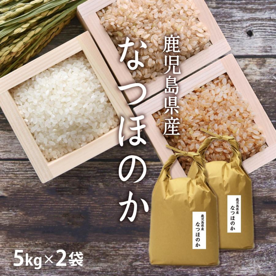米 お米 10kg イクヒカリ 10kg 5kg×2袋 令和4年産 / お祝い お中元