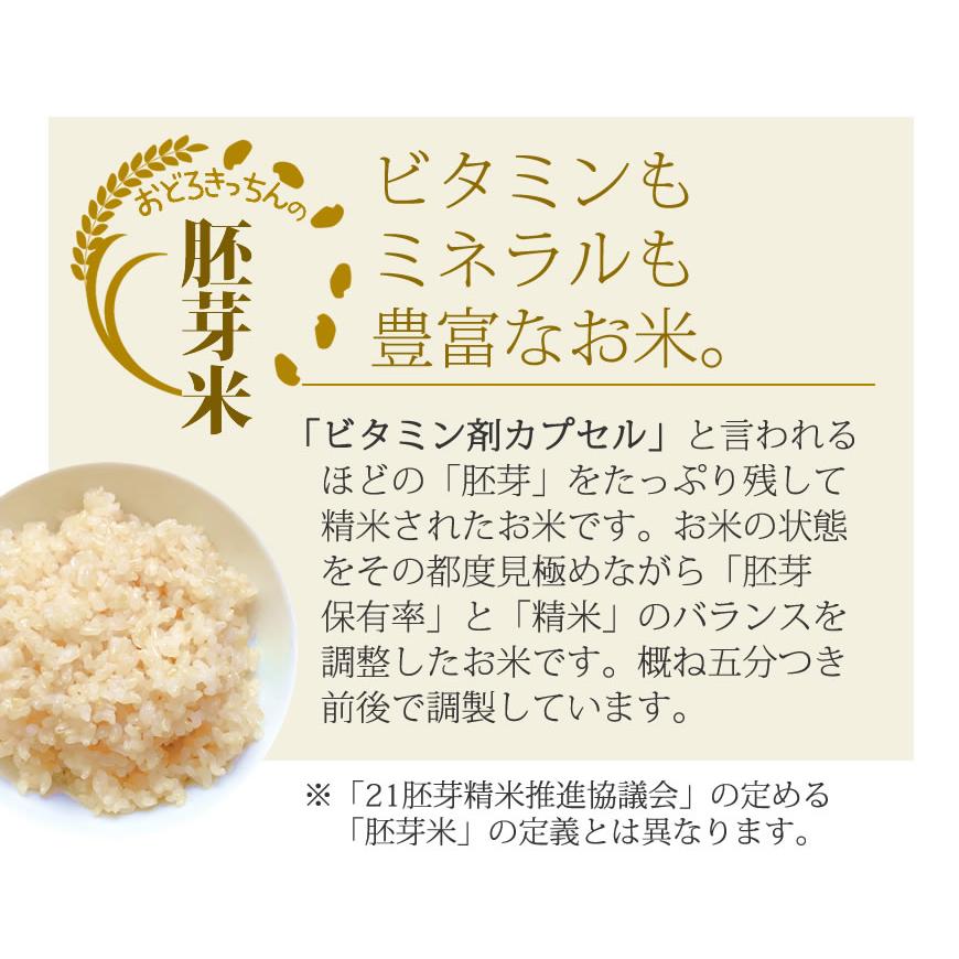 新米❗️令和6年新米イクヒカリ20㎏鹿児島県産 17精米済