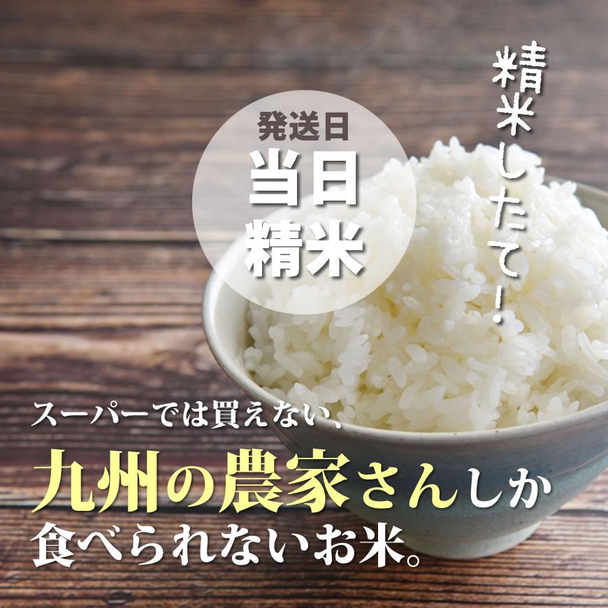 農薬不使用 令和5年度福岡県産米特A一等米 元気つくし玄米30kg(9
