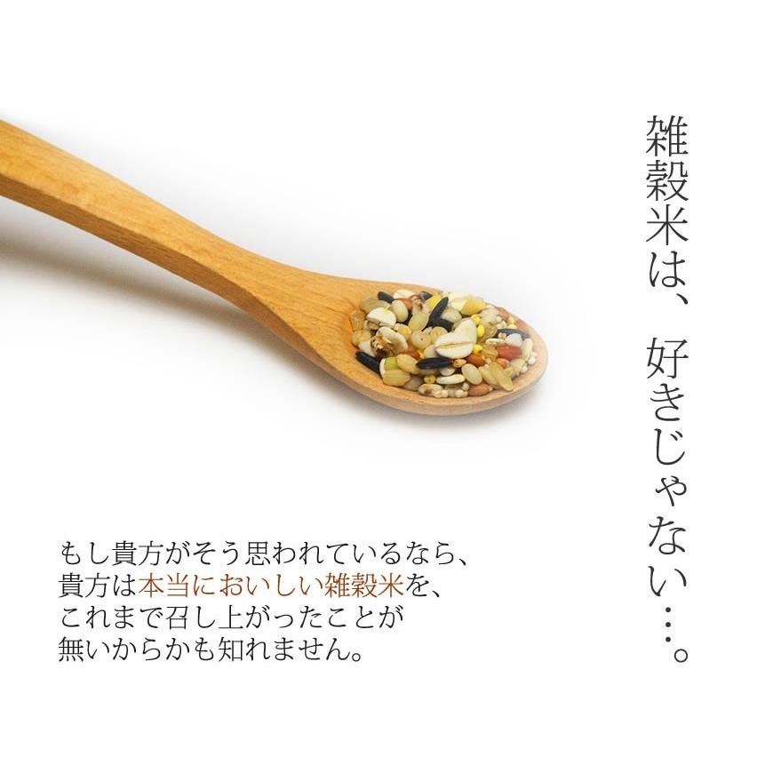 雑穀米 九州産十穀米 25g 6パック お取り寄せグルメ 国産 お中元 Kome010 おどろきっちん 通販 Yahoo ショッピング
