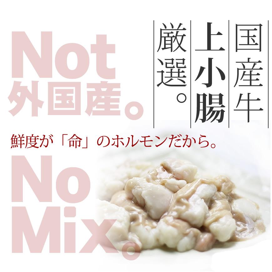 もつ鍋 博多もつ鍋セット 九州味噌仕立て 約2〜3人前 / お取り寄せグルメ 厳選国産牛100％ お中元 ギフト お祝い |  | 05