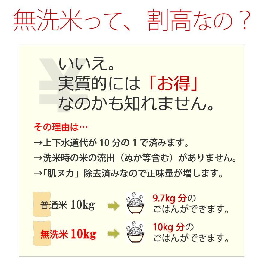 無洗米 5kg ヒノヒカリ 5kg×1袋 令和5年産 残留農薬不検出 / 福岡県産特A一等米 お祝い 母の日 プレゼント ギフト お取り寄せグルメ　｜odorokitchen｜06