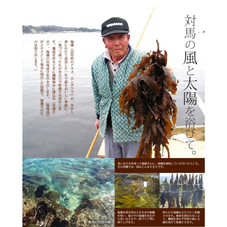 藻塩 浜御塩 お試しパック 1g×10包 /長崎 対馬  プレゼント お中元 ギフトお取り寄せグルメ テレビで紹介 健康長寿 塩 |  | 05