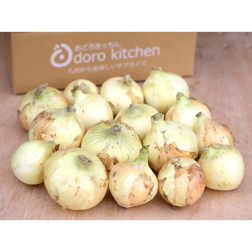 限定価格セール 佐賀県産 新たまねぎ たまねぎ 1ケース 約10kg Supplystudies Com