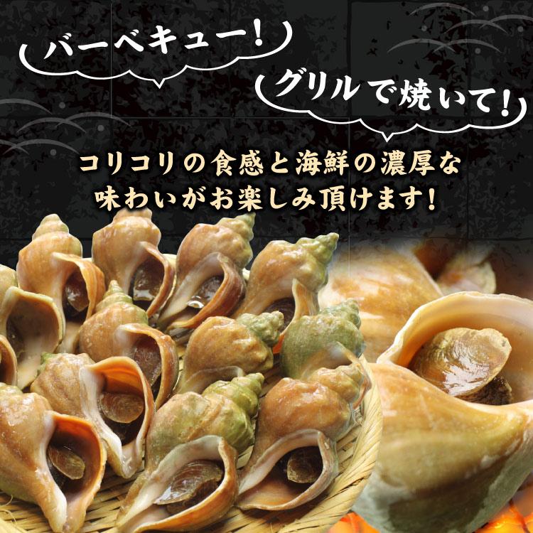 「北海道産」つぶ貝 青つぶ 殻付き 1kg （下処理・下茹で済） ボイル 冷凍 ツブ 海鮮 BBQ バーベキュー 浜焼き 殻焼き 食材 送料無料（沖縄宛は別途送料を加算） |  | 02