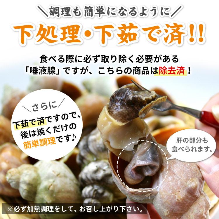 「北海道産」つぶ貝 青つぶ 殻付き 1kg （下処理・下茹で済） ボイル 冷凍 ツブ 海鮮 BBQ バーベキュー 浜焼き 殻焼き 食材 送料無料（沖縄宛は別途送料を加算） |  | 04
