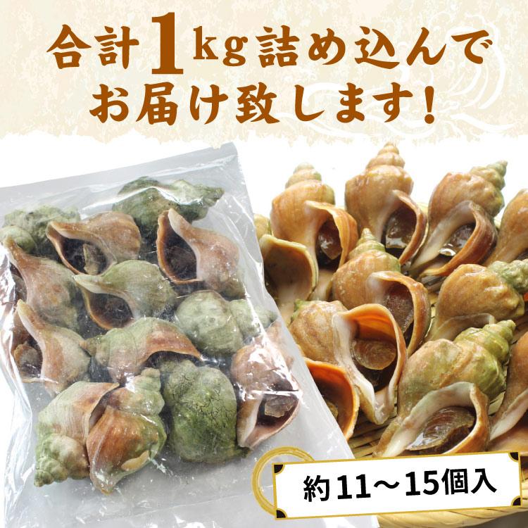 「北海道産」つぶ貝 青つぶ 殻付き 1kg （下処理・下茹で済） ボイル 冷凍 ツブ 海鮮 BBQ バーベキュー 浜焼き 殻焼き 食材 送料無料（沖縄宛は別途送料を加算） |  | 07