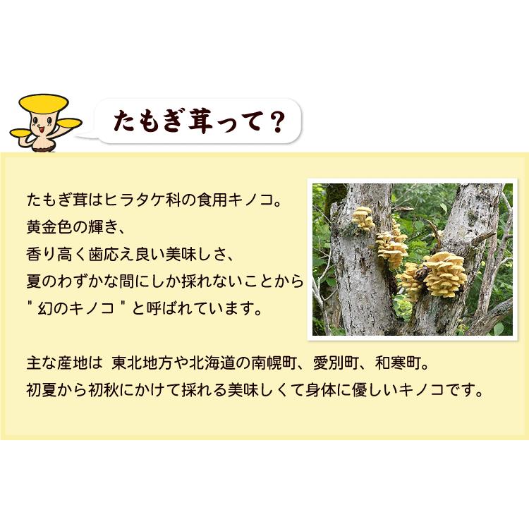 たもぎ茸 濃縮エキス バイオゴッド 80ml×30袋 タモギダケ 送料無料（沖縄宛は別途送料を加算）_3
