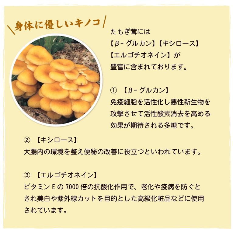 たもぎ茸 濃縮エキス バイオゴッド 80ml×30袋 タモギダケ 送料無料（沖縄宛は別途送料を加算）_4