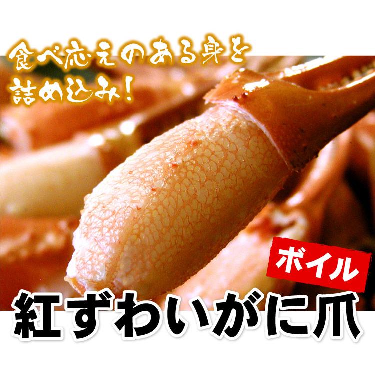 ボイル 紅ずわいがに爪 ズワイガニ 業務用1キロ カニ爪 カニ 蟹 かに 紅ズワイ かにつめ 送料無料（沖縄宛は別途送料を加算） |  | 01