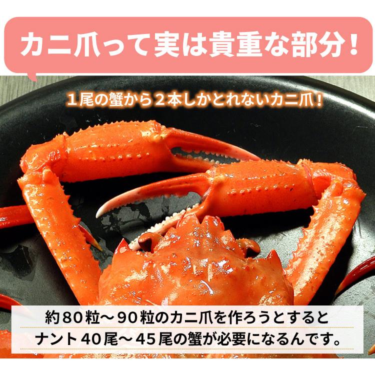 ボイル 紅ずわいがに爪 ズワイガニ 業務用1キロ カニ爪 カニ 蟹 かに 紅ズワイ かにつめ 送料無料（沖縄宛は別途送料を加算） |  | 05