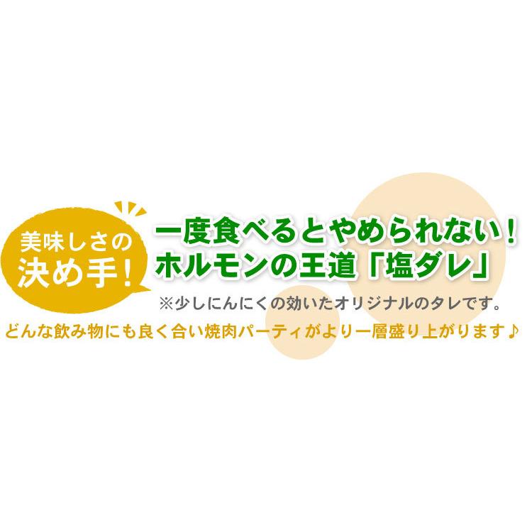 豚上ホルモン　塩　220ｇ(バーベキュー BBQ) 「メーカー（千歳ラム工房/肉の山本）より直送」※一部商品のみ同梱可 |  | 07