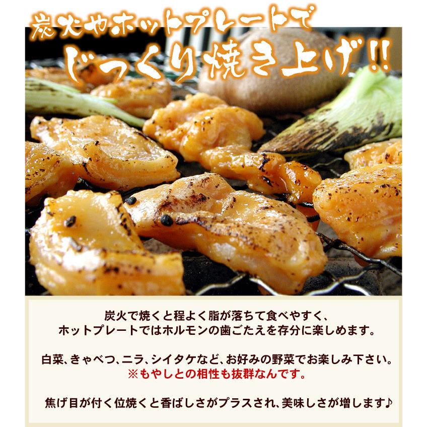 豚上ホルモン みそ 220g バーベキュー BBQ 「メーカー（千歳ラム工房/肉の山本）より直送」※一部商品のみ同梱可 |  | 06