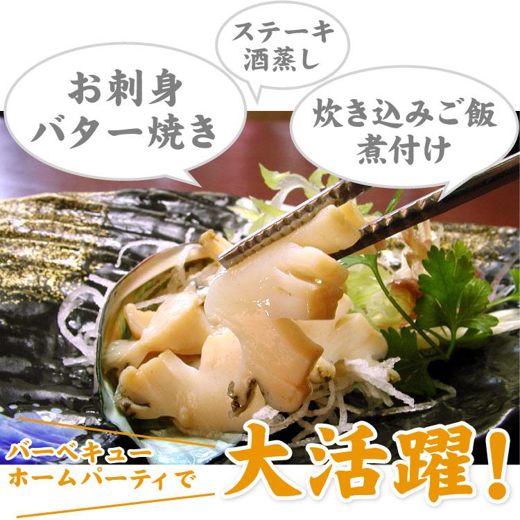 蝦夷 あわび 500g （7〜10個入）アワビ 鮑 送料無料（沖縄宛は別途送料を加算） |  | 03