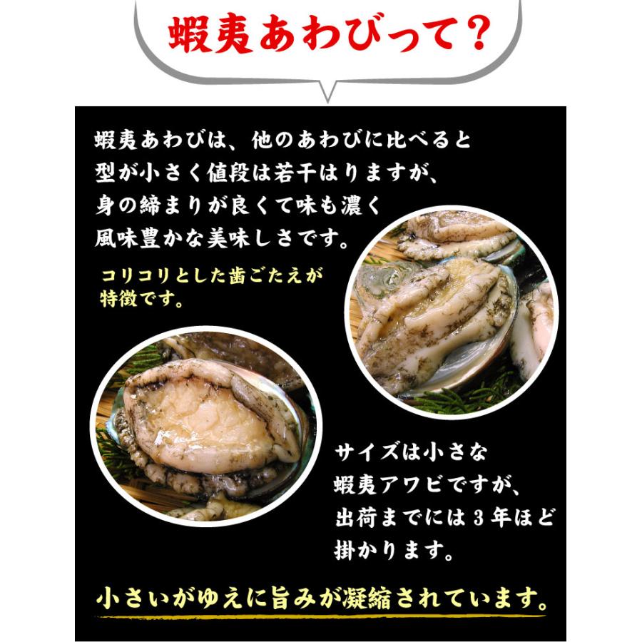 蝦夷 あわび 500g （7〜10個入）アワビ 鮑 送料無料（沖縄宛は別途送料を加算） |  | 04