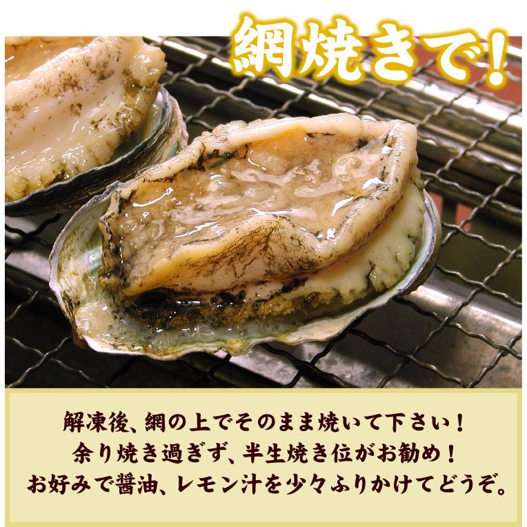 蝦夷 あわび 500g （7〜10個入）アワビ 鮑 送料無料（沖縄宛は別途送料を加算） |  | 06