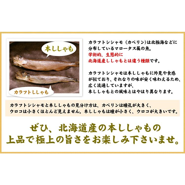北海道むかわ産本ししゃも30尾入 送料無料 Hi 005 厳選 北海道グルメ かに匠 通販 Yahoo ショッピング