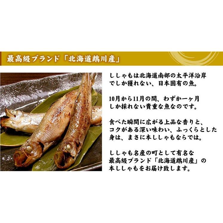 北海道むかわ産 本ししゃも 大サイズ 尾入 送料無料 鵡川 Hi 006 厳選 北海道グルメ かに匠 通販 Yahoo ショッピング