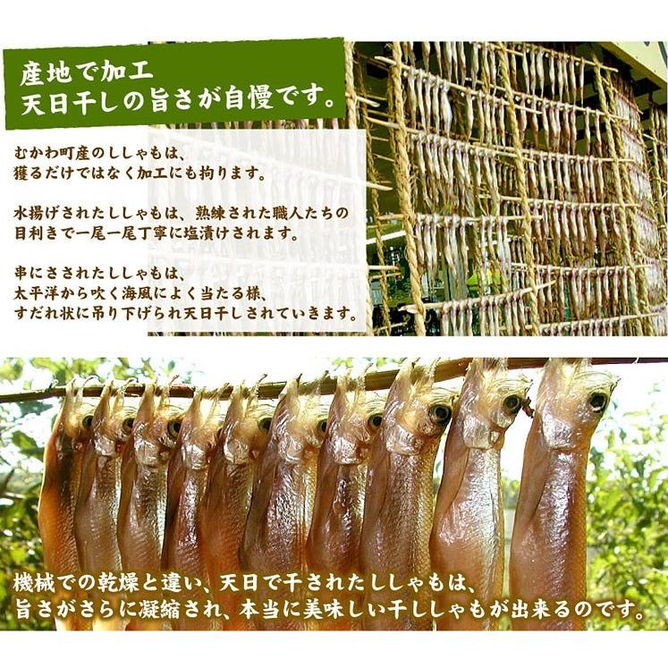 北海道むかわ産 本ししゃも 大サイズ 尾入 送料無料 鵡川 Hi 006 厳選 北海道グルメ かに匠 通販 Yahoo ショッピング