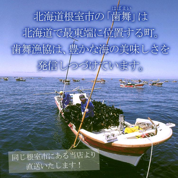はぼまい 昆布八方つゆ １L×２本入 昆布つゆ 昆布醤油 北海道 贈り物 食べ物 ギフト 送料無料（沖縄宛は別途送料を加算）※賞味期限は2027年4月以降 |  | 08