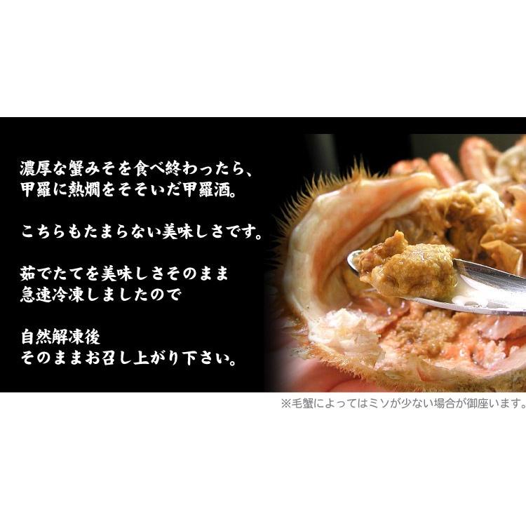 北海道産 毛ガニ 特大 1尾 約800g前後 毛蟹 毛がに かに カニ